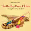 Gomer Edwin Evans - The Healing Power of Pan: Relaxing Music for Pan Flute